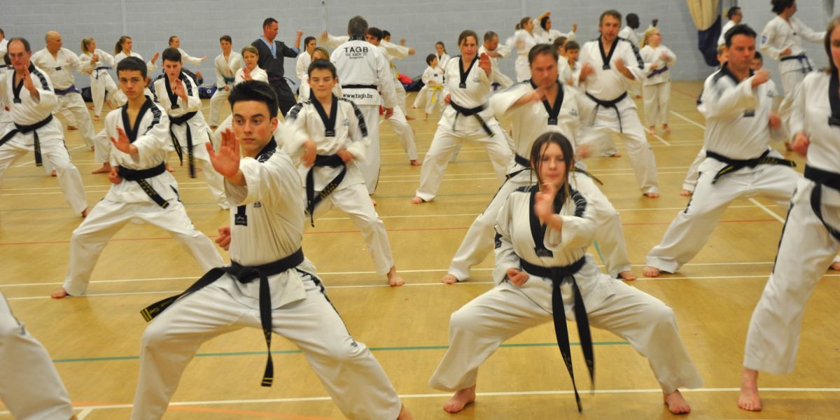 White Dobok Training Day – November 10th 2018