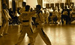 Black Belt Grading Dates for 2019