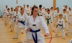 Coloured Belt Taekwondo Grading September 22nd 2018