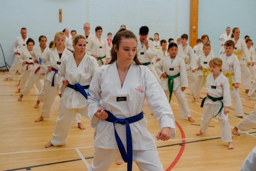 Coloured Belt Taekwondo Grading September 22nd 2018