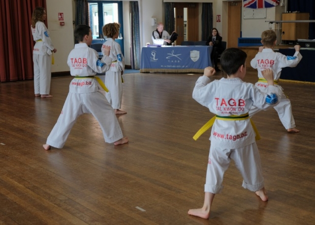 SL TKD Grading 09-03-2019 (167)
