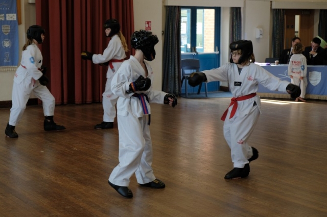 SL TKD Grading 09-03-2019 (270)