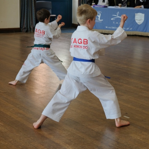 SL TKD Grading 09-03-2019 (41)